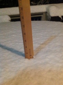 wintergreen ruler
