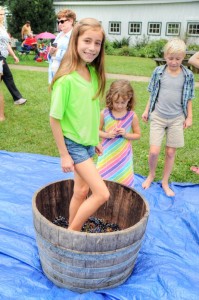 ©2013 Blue Ridge Life Magazine : Photos By BRLM Mountain Photographer Paul Purpura : A youngster stomps the grapes at the annual Romp, Stomp and Chomp Harvest Celebration held this past Labor Day weekend 2013 at Wintergreen Winery just south of Nellysford, VA