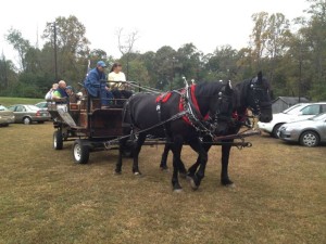 Trailer rides drawn by a team of horses was part of the celebration this past Saturday - October 19, 2013 at the 21st anniversary celebration at The Waltons Mountain Museum in Schuyler, VA