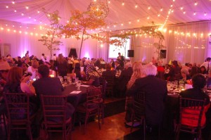 ™©2013 Blue Ridge Life Magazine : Crowds dressed in either their finest or their finest Halloween costumes to the 8th Annual Opportunity Ball held Friday night - October 25, 2013 at Veritas Vineyard and Winery in Afton, VA