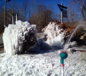 Right near the entrance along Route 151 is where Danny Watson started his icy art. 