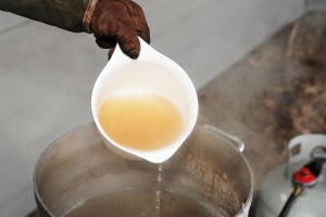 ©2014 Blue Ridge Life : Photos By BRL Mountain Photographer Paul Purpura : The freshly boiled sweetness from maple trees this past weekend at The Nature Foundation at Wintergreen. It's all part of their Maple Sugar Days celebration. 