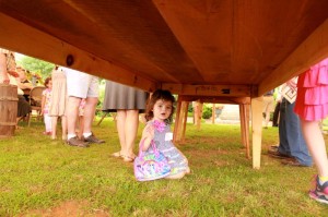 Where'd Jess Massie go? ...There she is! Hiding under a table during the Major Thomas Massie Family Reunion held Saturday - June 28, 2014 at Pharsalia in Tyro, VA.