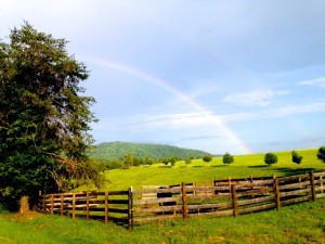 John McKeithen over at Mountain Area Realty grabbed this beautiful photo Saturday afternoon - September 6, 2014 - along Stagebridge Rd in Eastern Nelson County. Showers & storms moved through bringing cooler temps. 
