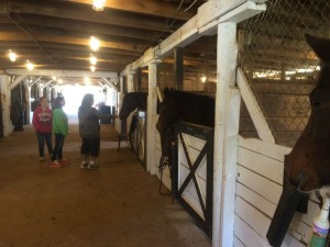 A family checks out some of the horses in the barn during the Rodes Farm Open House - Sunday - November 2, 2014 