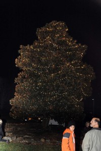 Lighting of the Christmas Tree by Cindy Cobb.