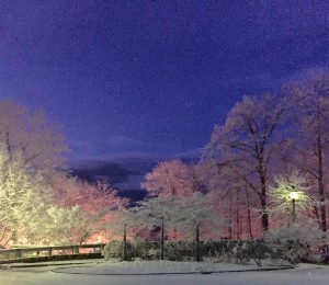 Photo By Diane Givens : A couple of inches of overnight snow at Wintergreen left this beautiful landscape as people began waking up Tuesday morning - January 27, 2015.