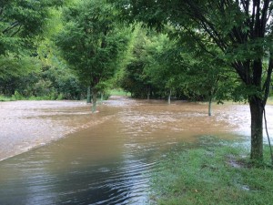 Photo Courtesy of Amy Winters : Flood waters cover the driveway and nearby Glenthorne Loop near Nellysford in Nelson County. Over 3" of rain fell near there Tuesday afternoon and more than 6" of rain fell just above at Wintergreen Resort at 3500 feet. 