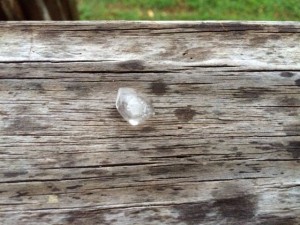 Photo By Helen Taylor Pannell: Some small hail was reported in Massies Mill in SW Nelson County. 