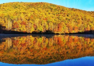 Photo Courtesy of William Groah : Beautiful colors popped earlier this week as the sun reflected on Sherando Lake in Augusta County.