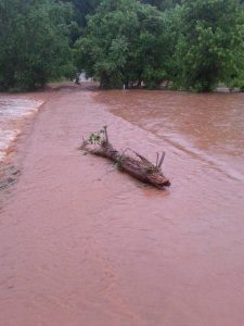 Jeffery Tomlin couldn't see his driveway or bridge after the 6+" of rain hit late Thursday in South Nelson County. 