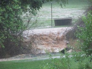 Rebecca Jean Waters in Bryant said, "Horse field, turned into temporary water fall."