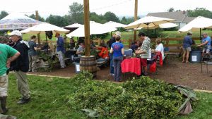 Photos by Martha Hayman : Blue Mountain Brewery was a busty place during the past few days with their annual hop picking and harvest. The fun continues later this month at BMB's Barrel House in Arrington. 