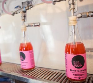 Photo courtesy of Blue Ridge Bucha : The new year brings a new name for  a local kombucha company. After 7 years of branding as Barefoot Bucha it will now be known as Blue Ridge Bucha. 