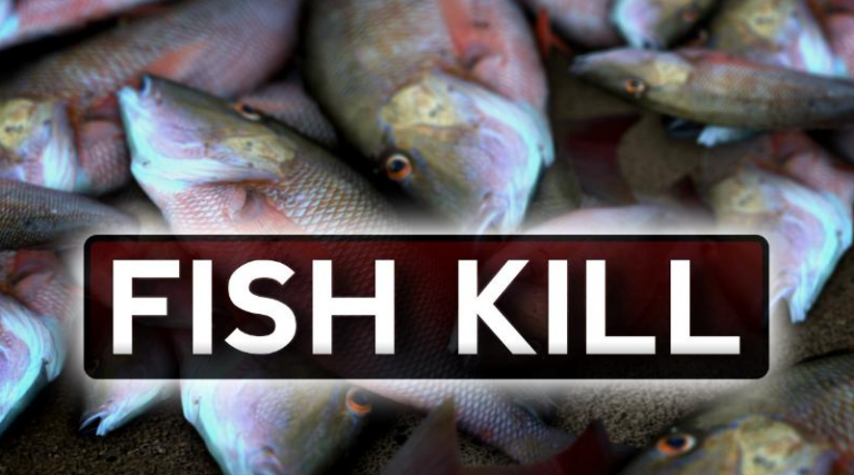 DEQ Investigating Fish Kill In Nelson County – Via WHSV (Harrisonburg)