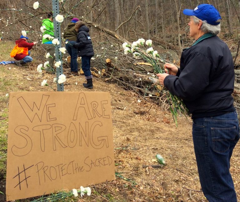 Nelson : Wintergreen : Opponents Peacefully Gather Against Atlantic Coast Pipeline