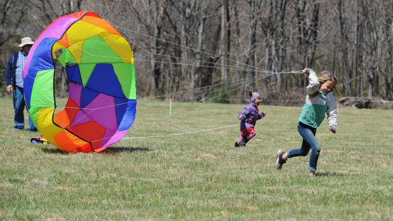 Sunny Skies Made Perfect Backdrop For 10th Annual Rockfish Valley Foundation Kite Festival