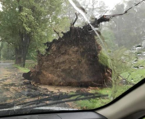 News Alert : Nelson : Severe Thunderstorms Cause Hail : Numerous Trees Down Across County (Video)