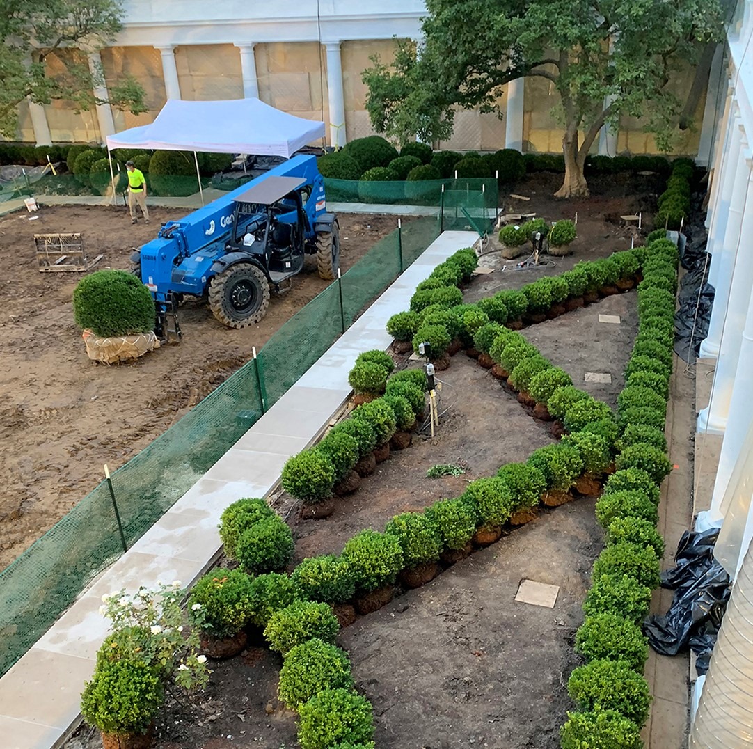 Nelson Saunders Brothers' Boxwood Used In Landscaping Of Rose Garden