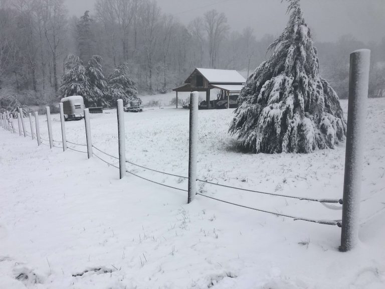 Snow Day! – Heavy Snow Hits Central Virginia Blue Ridge : Widespread Power Outages (Updated 11:25 AM)