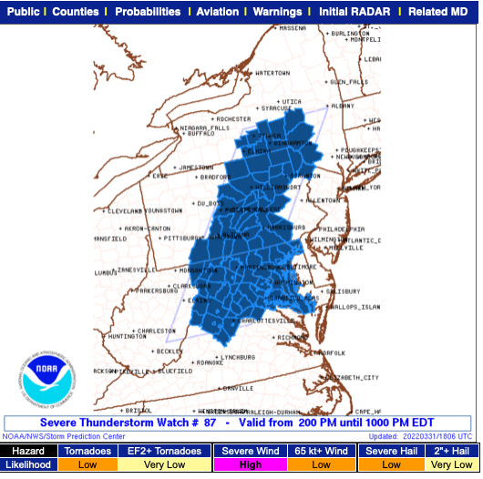 Severe Thunderstorm Watch In Effect Until 10 PM Eastern For Parts Of Blue Ridge  (March 31, 2022)