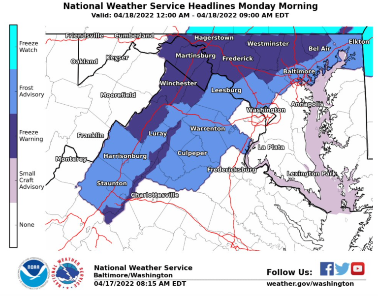 Freeze Warnings & Frost Advisories : Parts Of Blue Ridge Late Sunday Into Monday (Includes Wintergreen)