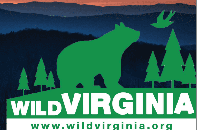 Wild Virginia Hosts Webinar – First Wildlife Corridor Action Plan