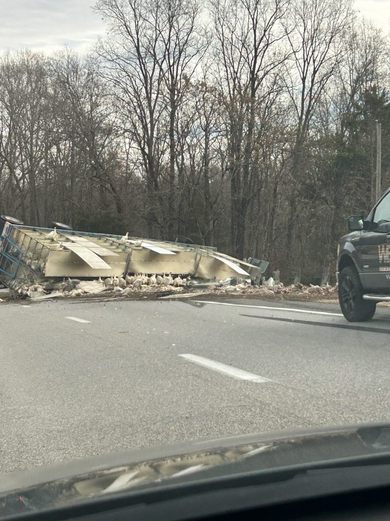 AMHERST : Semi Crash Blocks US 29 – Roadway OPEN : Update 4:30 PM