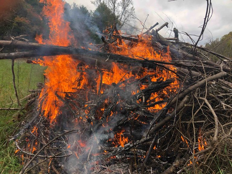 Virginia’s 4 PM Burning Law Now In Effect Until April 30, 2024