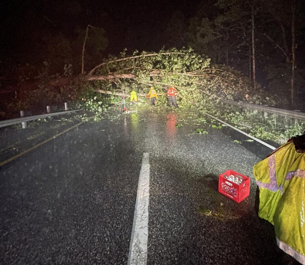 Heavy Rains Close Schools, Washout Roads & Bring Down Trees Again ...